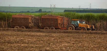 Brasil tem potencial de atrair US$ 3 tri e se tornar hub de soluções climáticas, diz estudo do BCG