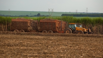 Brasil tem potencial de atrair US$ 3 tri e se tornar hub de soluções climáticas, diz estudo do BCG