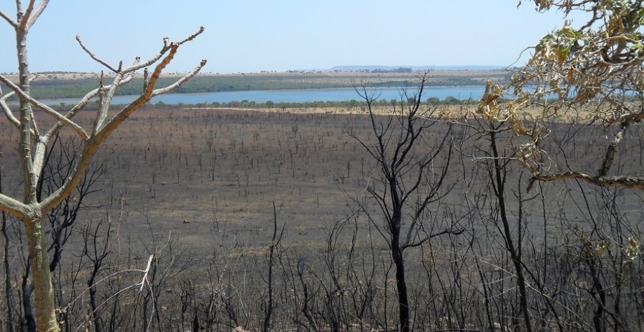 Lagoa Bonita, na Estação Ecológica Águas Emendadas (DF), após incêndio em 2010. Foto: Arquivo Laboratório de Ecotoxicologia da Embrapa Cerrados