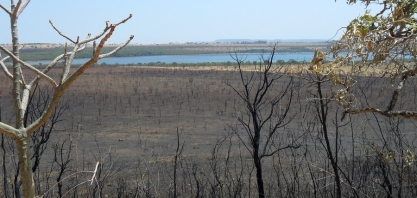 Recursos hídricos, queimadas e cinzas: a urgência do necessário equilíbrio na busca pela sustentabilidade ambiental