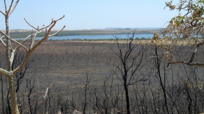 Recursos hídricos, queimadas e cinzas: a urgência do necessário equilíbrio na busca pela sustentabilidade ambiental