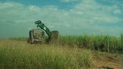 Preços do etanol e açúcar registram alta pelas usinas paulistas em junho; entenda motivos