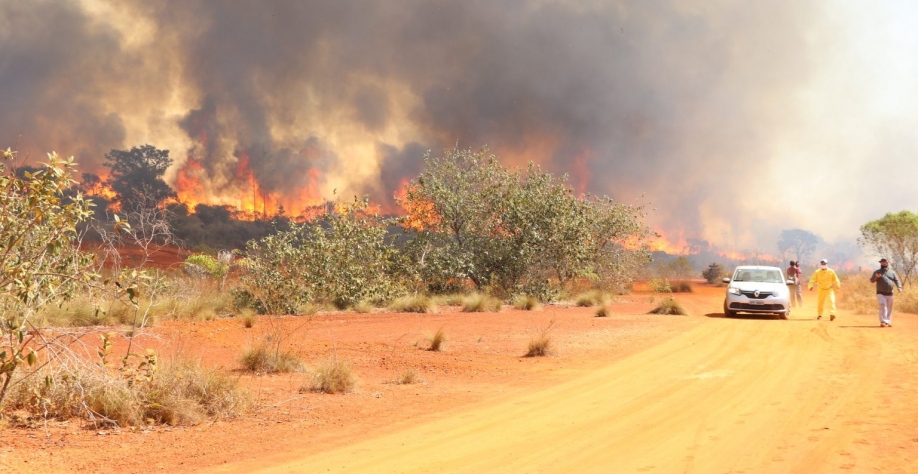Governo de São Paulo intensificou combate ao fogo. Foto: Divulgação/Governo de SP