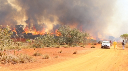 Governo de SP aplica mais de R$ 25 milhões em multas na Operação SP sem Fogo