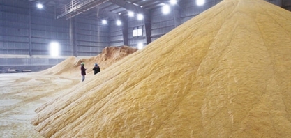 Angola, Austrália e Canadá e Tailândia abrem mercado para DDG brasileiro