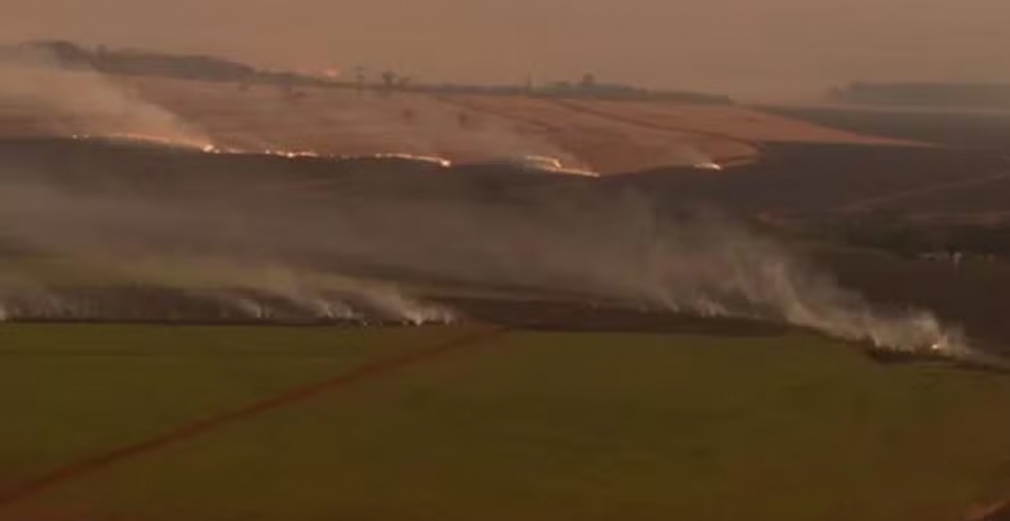 Incêndios em canaviais ocorreram de forma mais intensa a partir do dia 22 de agosto — Foto: Canaoeste