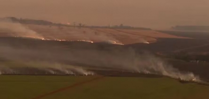 Mais de 230 mil hectares de cana foram atingidos pelos incêndios em SP, diz Unica