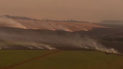 Mais de 230 mil hectares de cana foram atingidos pelos incêndios em SP, diz Unica