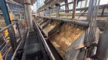 Usinas começam a moagem de cana-de-açúcar em Alagoas