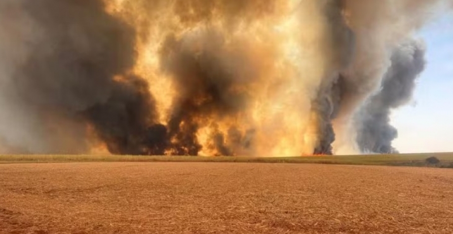 Incêndio de grandes proporções destrói canaviais em SP. Foto: Associação dos Plantadores de Cana do Oeste do Estado de São Paulo (Canaoeste)