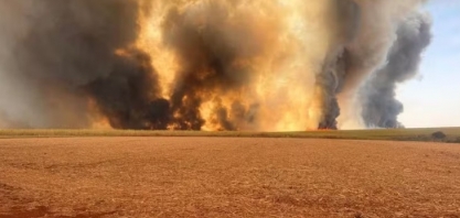 Apesar das queimadas, produção de cana segue estimada em 600 milhões de toneladas, diz SCA