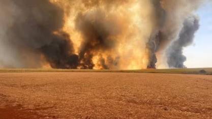 Apesar das queimadas, produção de cana segue estimada em 600 milhões de toneladas, diz SCA