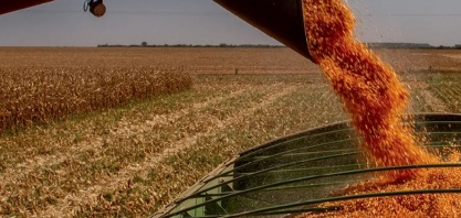 Bioverde investirá R$ 1,3 bilhão em usina de etanol de milho em MT