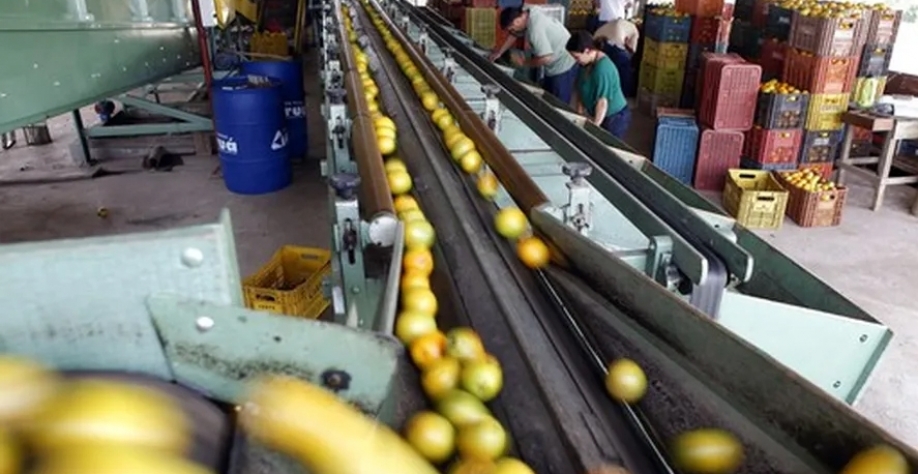 Segundo Ibiapaba Netto, diretor da CitrusBR, aumento dos preços do suco tem freado a procura pelo produto — Foto: Globo Rural