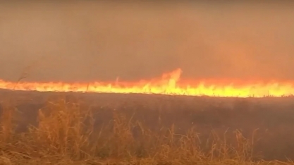 Prejuízo milionário: incêndios devastam fazendas e maquinário em Mato Grosso