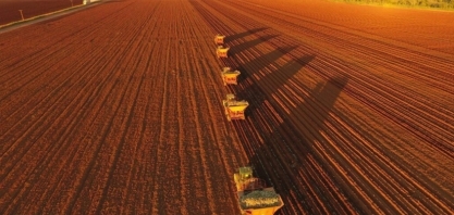 Mapa do Plano Safra e o Replantio de Cana-de-Açúcar