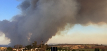 NOTA ORPLANA – Atualização dos impactos das queimadas para os produtores de cana-de-açúcar