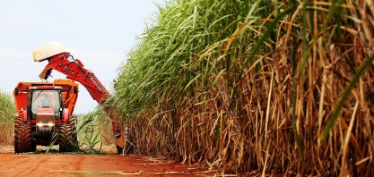 Valor da produção agrícola em MG caiu 7,2% em 2023