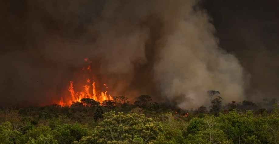 Grandes focos de incêndio atingem áreas do Parque Nacional de Brasília (Foto: Marcelo Camargo/Agência Brasil)