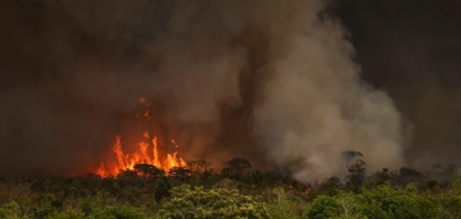 COP30: desmatamento e apego aos fósseis desafiam ‘liderança pelo exemplo’ do Brasil