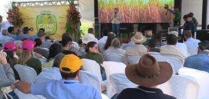 Produtores e empresários conhecem novas técnicas para a produção de cana-de-açúcar