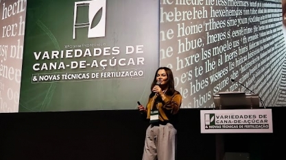 “As pontes que trouxeram o setor até hoje não serão as mesmas que o levarão para a frente”