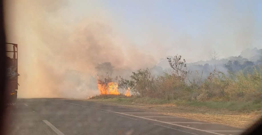 Fogo em mato às margens de rodovia é o princípio de incêndios