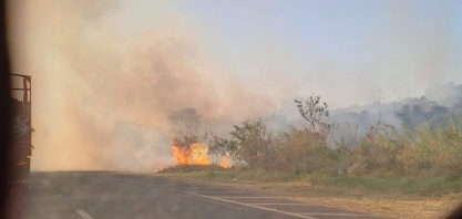 Produtoras e produtores rurais querem retirar o mato nas margens das rodovias para inibir os incêndios