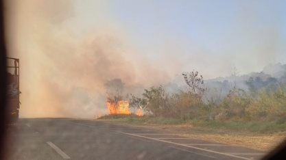 Produtoras e produtores rurais querem retirar o mato nas margens das rodovias para inibir os incêndios