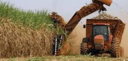 Czarnikow corta em quase 9% estimativa de produção de açúcar do Centro-Sul