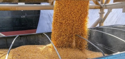 Impulso do etanol transforma a Índia em importadora de milho, abalando o mercado global