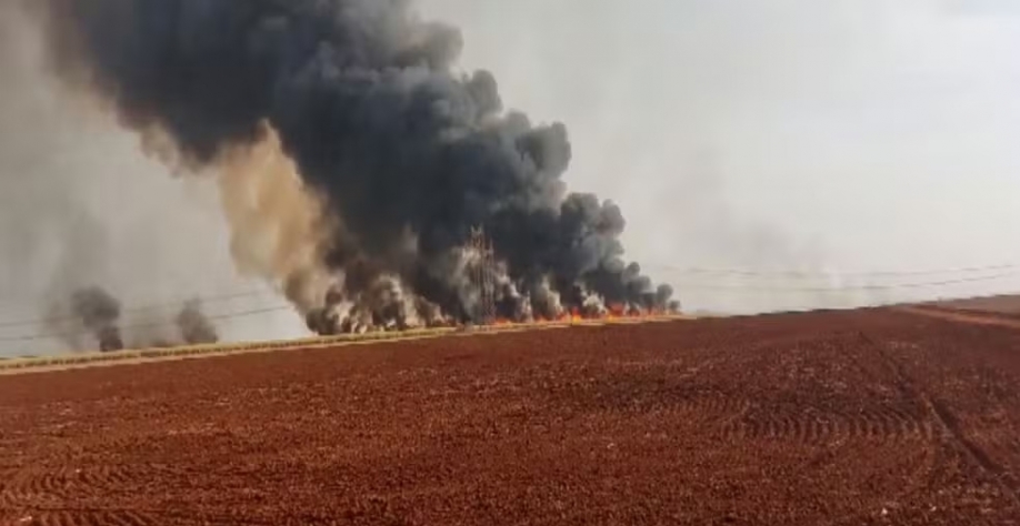 Fogo em plantação da região de Ribeirão Preto (SP) — Foto: Reprodução/EPTV