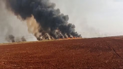 Produtores de cana estimam prejuízo de R$ 800 milhões com incêndios; especialistas revisam previsão da safra para baixo