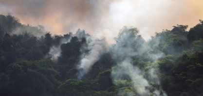 Seca e incêndios incomuns preocupam setor agrícola no Brasil