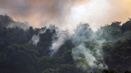 Seca e incêndios incomuns preocupam setor agrícola no Brasil