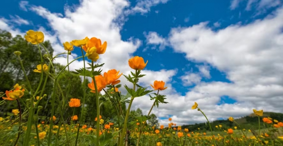 A primavera é conhecida como a transição entre os períodos seco e chuvoso no Hemisfério Sul — Foto: Getty Images