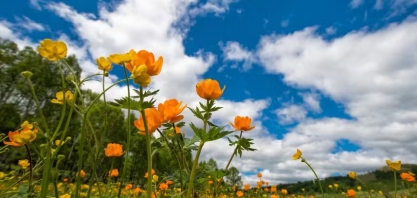 Primavera 2024: qual a previsão do tempo para a nova estação?