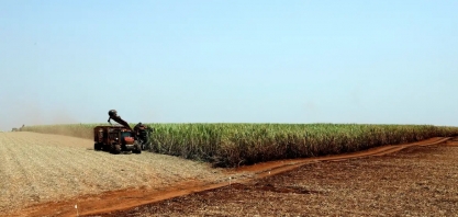 Estudo indica bioinsumo como solução sustentável na produção alimentar