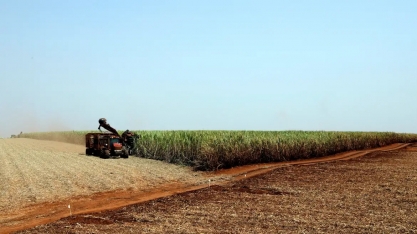Estudo indica bioinsumo como solução sustentável na produção alimentar