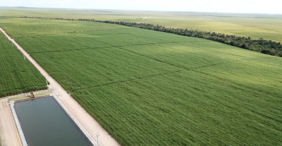  Projeto gotejamento Industrial Porto Rico. Crédito: Divulgação Industrial Porto Rico S/A