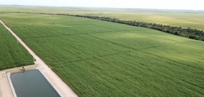 Industrial Porto Rico S/A espera chegar a 5 mil hectares irrigados com gotejamento até 2030