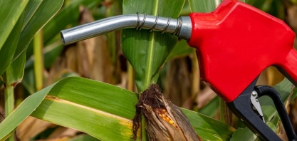 Itaú projeta avanço de 25% para etanol de milho e combustível deve representar 1/5 do consumo do grão em 2024