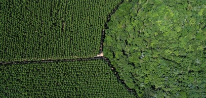 Suzano abre 200 vagas para estágio