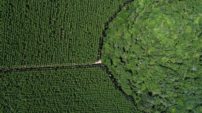 Suzano abre 200 vagas para estágio