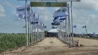 “O CanaShow Alagoas é feito por quem produz cana, que gosta de cana e quer produzir mais e melhor”