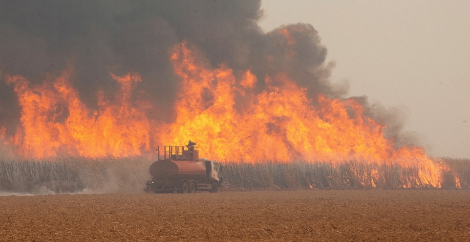 Foto: Joel Silva/Reuters
