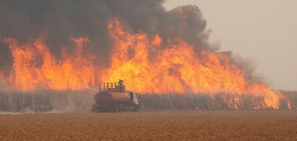 MG: prejuízos do setor sucroenergético já superam R$ 180 milhões por causa de incêndios