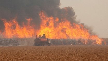 MG: prejuízos do setor sucroenergético já superam R$ 180 milhões por causa de incêndios