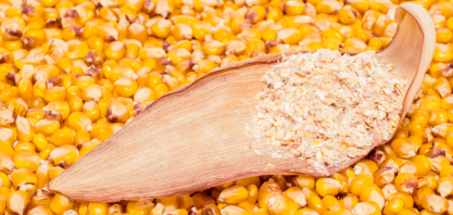 Abertura de mercado na Colômbia para exportação de grãos secos de destilaria