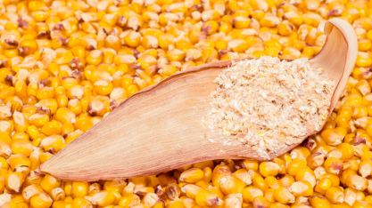 Abertura de mercado na Colômbia para exportação de grãos secos de destilaria